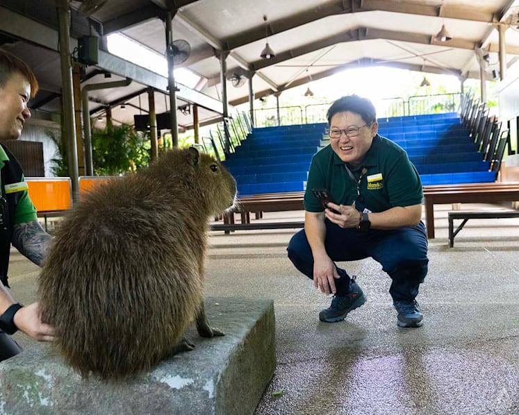 After nearly 3 decades on the job, this zoo veteran says 'animals are so much smarter than people'