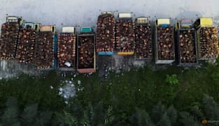 Indonesia pertimbang naikkan cukai eksport minyak sawit, sokong mandat biodiesel