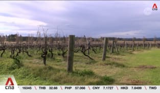 Australian vineyard seeks solutions amid constant climate disasters 