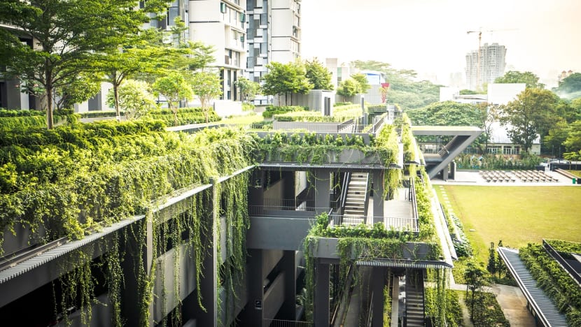 More plants, trees at new HDB housing estates with rollout of green requirements
