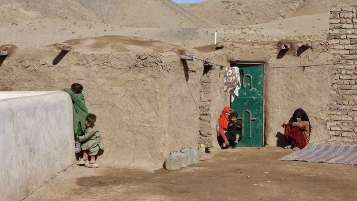 'Just bread and tea': WFP says aid cuts to Afghanistan leave millions hungry this winter