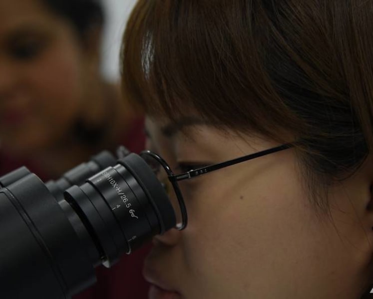 'It's a different world under the microscope': HSA's crack team can tell authentic documents from the fake