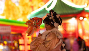 The rise of 'Chinamaxxing': Cultural curiosity or TikTok caricature?