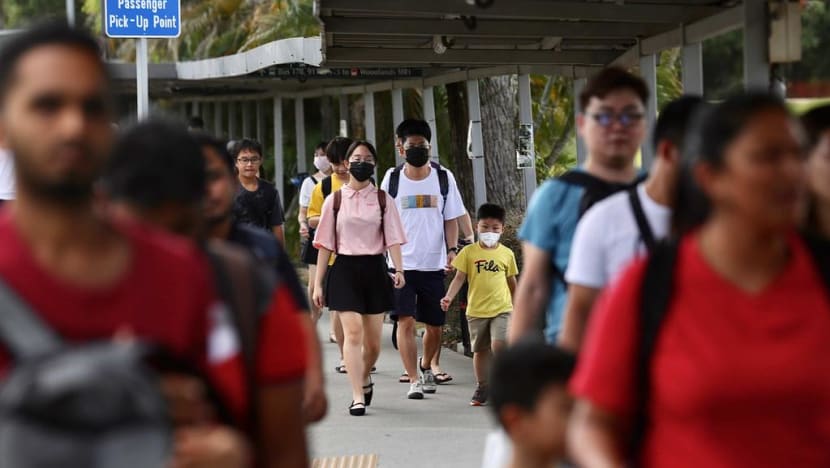 Singapore building up domestic production of face masks: Chan Chun Sing