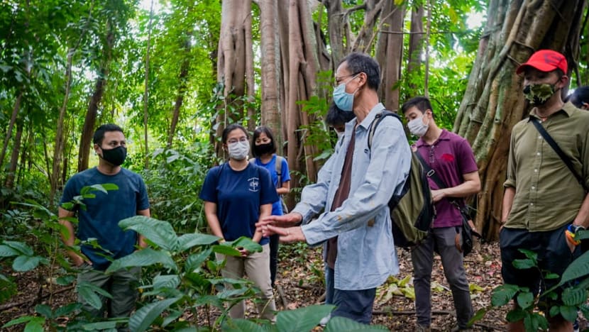 Government will ‘proceed with care’ when developing near areas of rich biodiversity: Desmond Lee