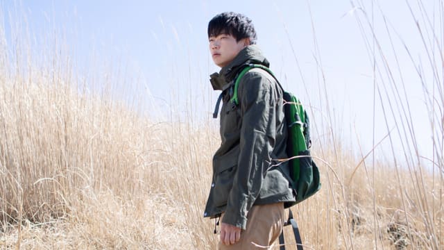 新片上映：Ring Wandering