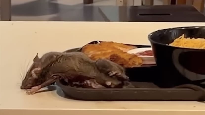 Rat infestation: Tangs Market food court on Orchard Road to close on Nov 30 for deep cleaning