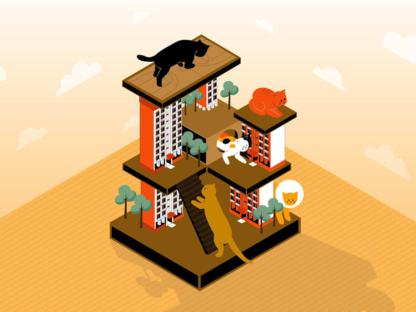 The Big Read: With ban in HDB flats set to be lifted, can pet cats coexist in harmony with residents?