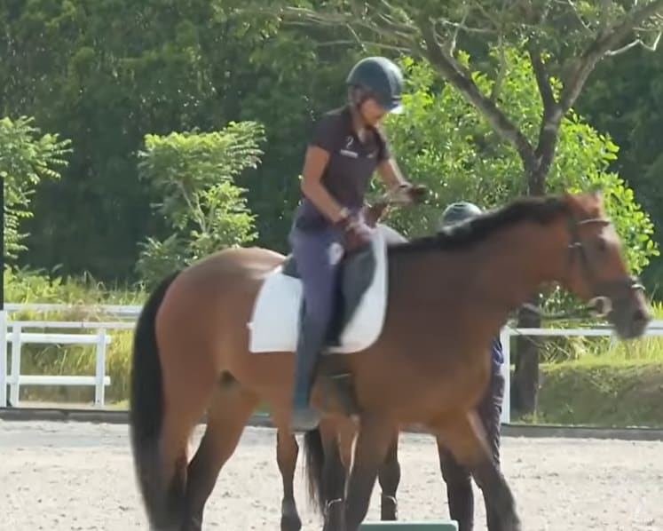 Demand for horse riding classes on the rise, but space constraints pose challenge