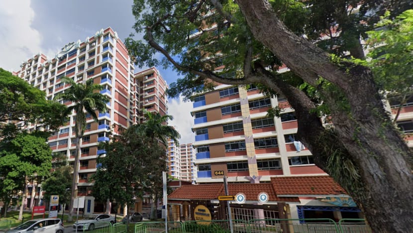 More than S$407 million allocated to upgrading works for 29,000 flats More than S$407 million allocated to upgrading works for 29,000 flats