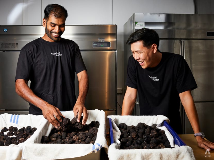 These 2 millennials started their truffle business in their bedrooms; now they supply to Singapore’s top restaurants