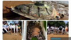 Related article image