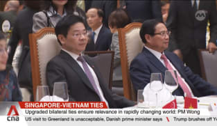 Bilateral ties between Singapore and Vietnam at a high point: PM Wong
