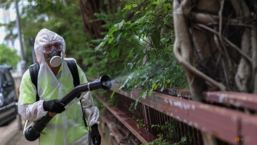 Chikungunya in China: What you need to know