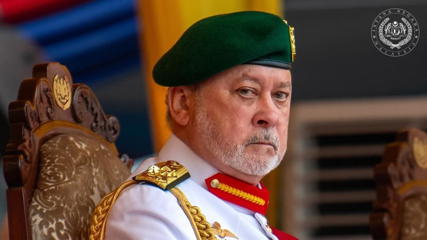 Malaysian king orders immediate, thorough probe into alleged child abuse, criminal cases at care homes Malaysian king orders immediate, thorough probe into alleged child abuse, criminal cases at care homes