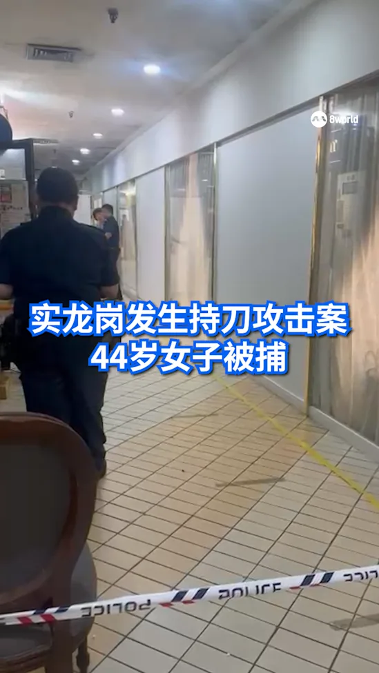 实龙岗发生持刀攻击案 44岁女子被捕
