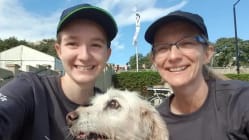 Related article image