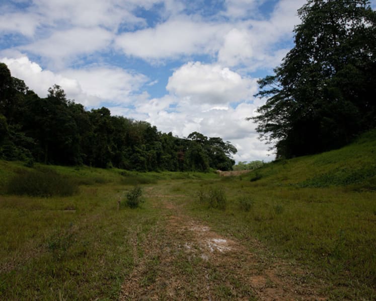 Majority of Singaporeans prioritise environmental protection over economic growth: IPS study