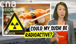 Insight 2023/2024 - Dangerous sushi? Is seafood safe to eat after Fukushima nuclear wastewater release?