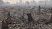 2026-09-23t230210z 1290098302 rc258naxl0x8 rtrmadp 3 asia-weather-indonesia-wildfire-women