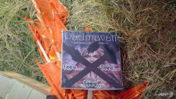 Related article image