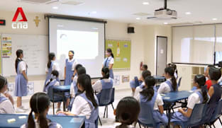 Racial Harmony Day: Singapore's cultural diversity unites, not divides, says PM Wong 