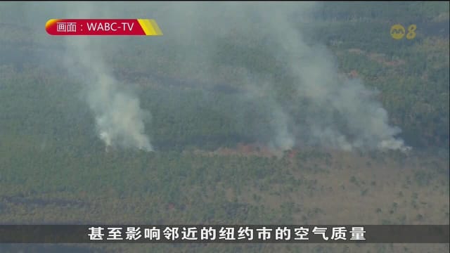 美国新泽西州林火持续燃烧 19岁少年涉纵火被捕