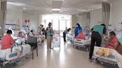 Related article image