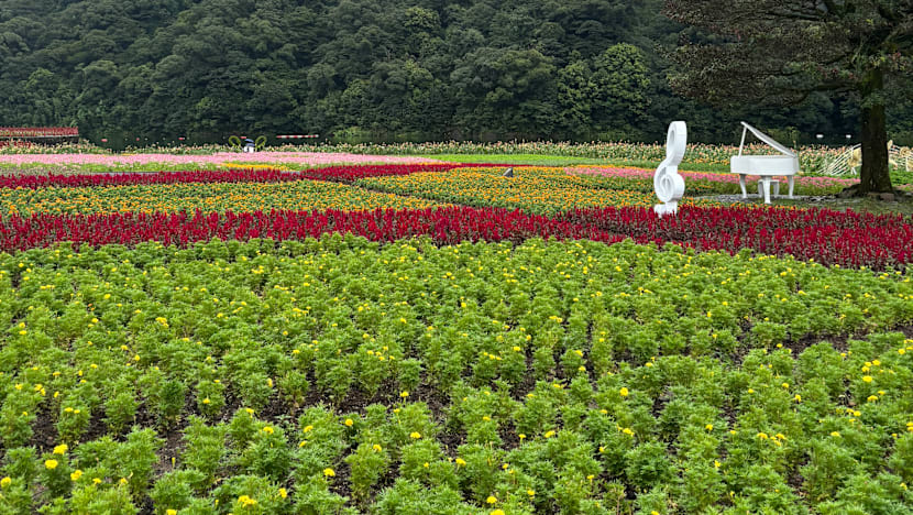 Related article image