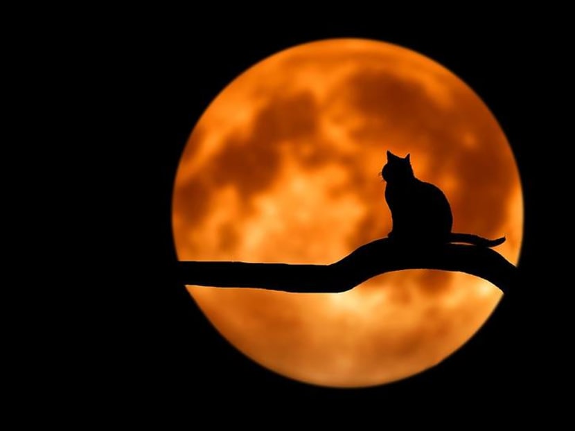 Wide awake when you should be sleeping? You might be smarter and more creative Wide awake when you should be sleeping? You might be smarter and more creative