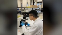Related article image