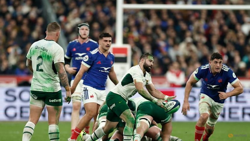 Fourteen-man South Africa dig deep to humble France