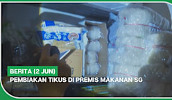 BERITA (2 Jun) | Pembiakan tikus di premis makanan SG