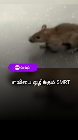 எலியை ஒழிக்கும் SMRT
