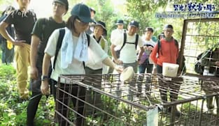 Japan Hour - Gaia Series 115: Tension! Fight animal damage