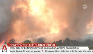 Climate crisis: UN warns wildfires, heatwaves threaten to undermine air quality 