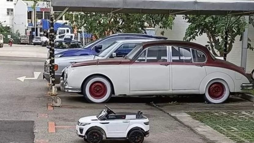Gambar Pilihan Hari Ini