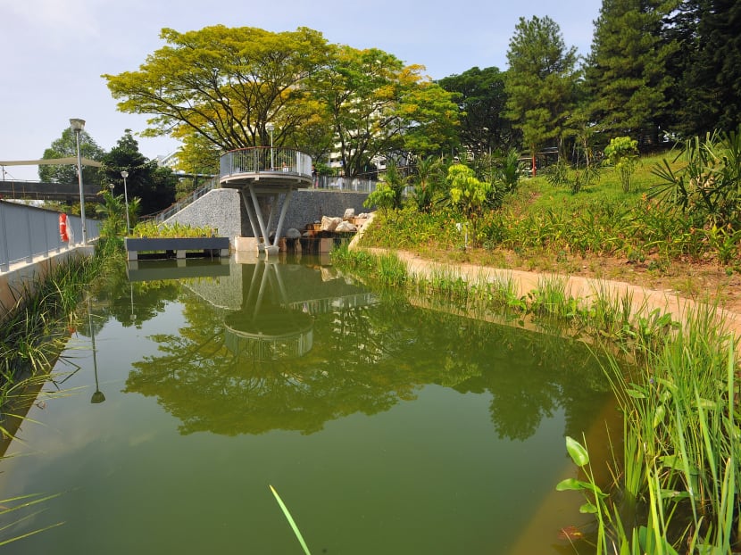 First ‘river classroom’ at Sungei Ulul Pandan
