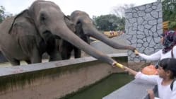 Related article image