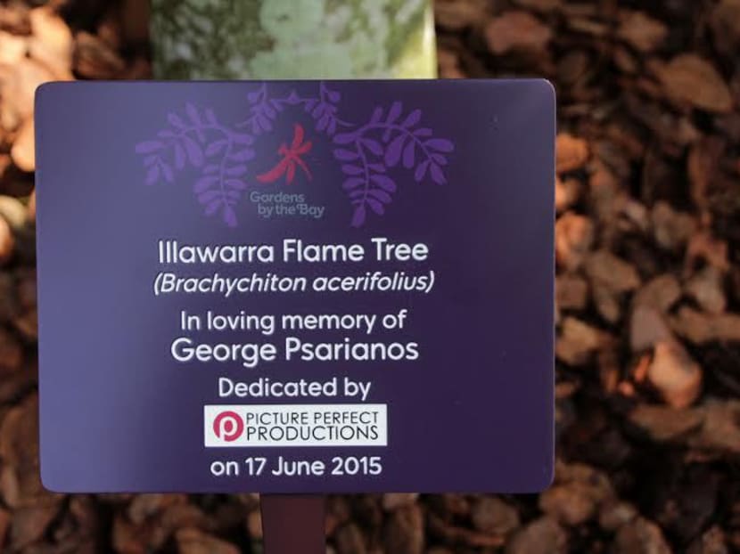 Australian is first person to adopt a tree at Gardens by the Bay