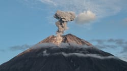 Related article image