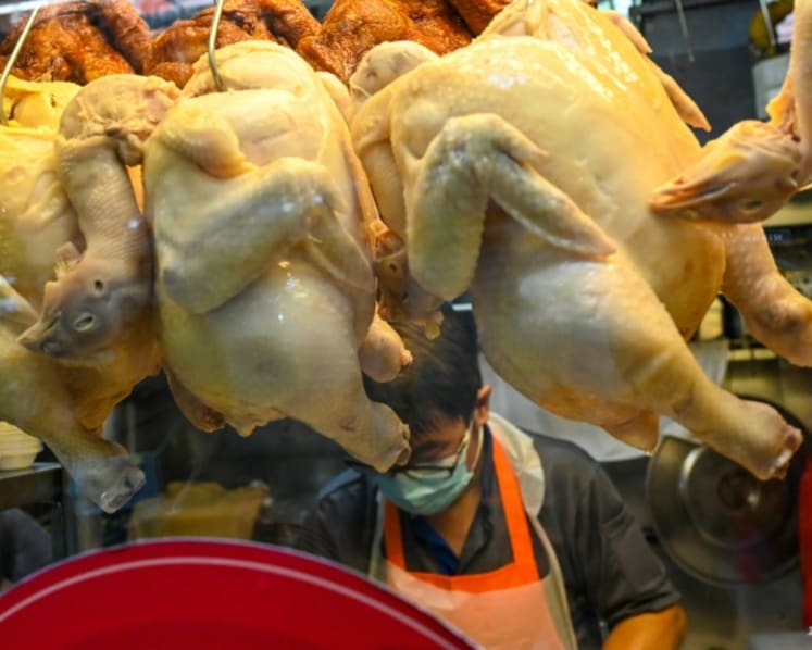 E. coli in chicken rice? Stalls are subject to more stringent checks, says SFA