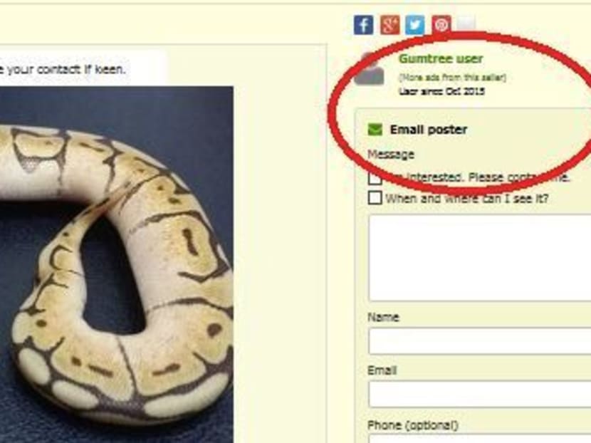 Illegal pet advertisements rife on online platforms: ACRES