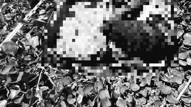 疑因监守自盗 中国男在柬埔寨被同胞打死塞行李箱