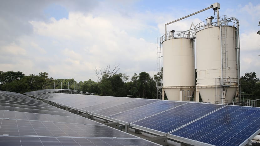 PUB studies environmental impact of floating solar panels
