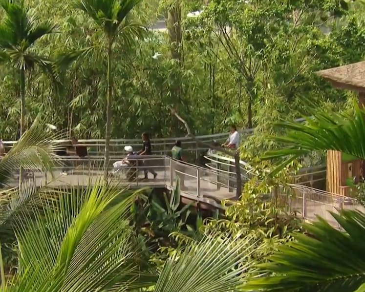 Fun for all: How some tourist attractions have made themselves more disability friendly