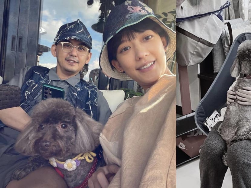 Mickey Huang And Summer Meng, Who Just Welcomed Their First Child, Wrongly Accused Of Abandoning Their Dog For Their Baby Mickey Huang And Summer Meng, Who Just Welcomed Their First Child, Wrongly Accused Of Abandoning Their Dog For Their Baby