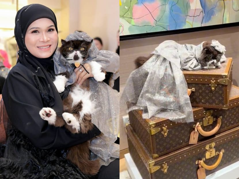 Malaysian businesswoman celebrates her cat’s birthday at Louis Vuitton store