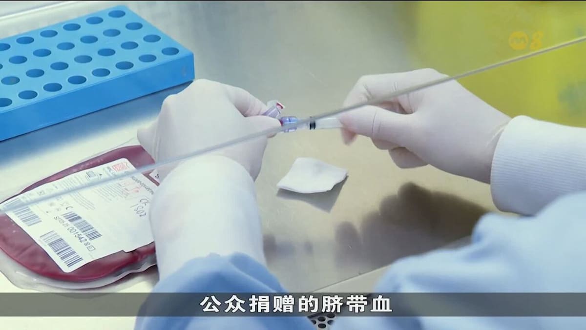 国人捐献意识提高 但本地脐带血库仍面临供应短缺问题 - 8world