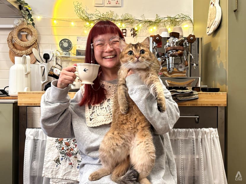 This Sengkang home cafe with its very own Totoro cat is brewing comfort, one cup at a time